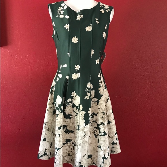 NWT: Danny and Nicole a-line dress w/pockets - Picture 2 of 11